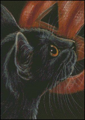 Halloween Black Cat & Pumpkin 2